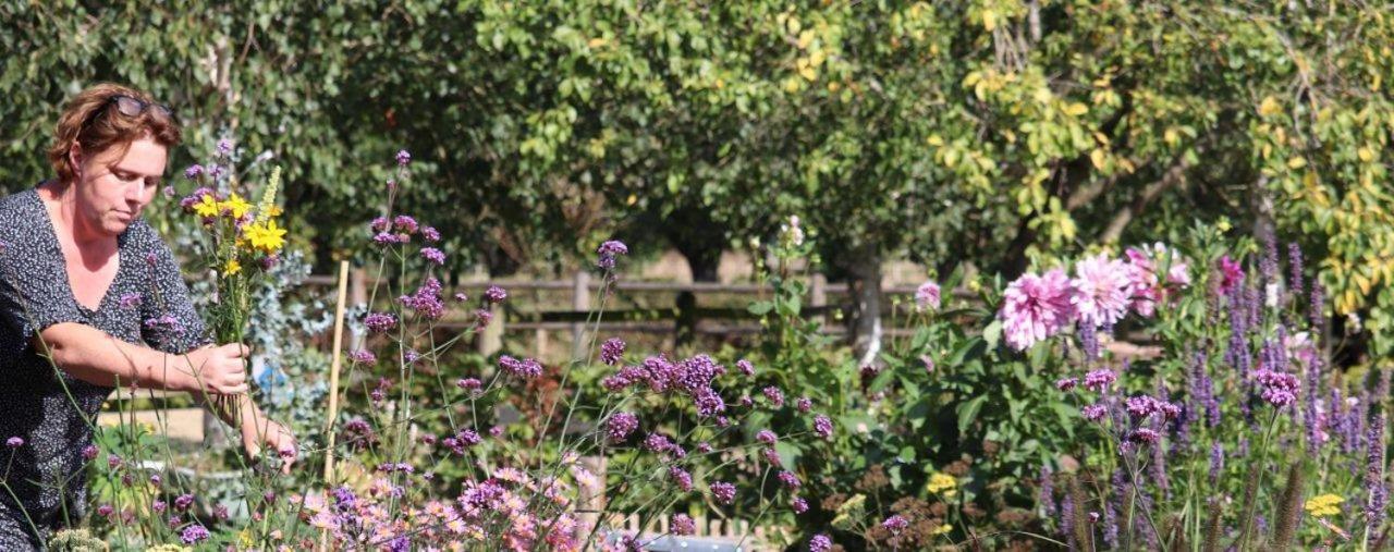 Bed & Breakfast Appeltern Εξωτερικό φωτογραφία